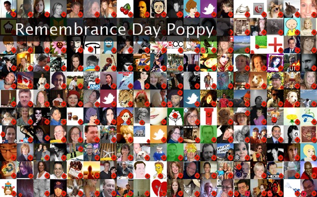 Remembrance Day Poppy Twibute 250