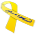 Fort Hood Ribbon