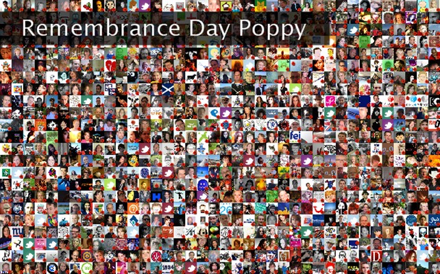 Remembrance Day Poppy Twibute 1000
