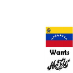 VenezuelaWantMcFly