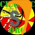 ChaoticOrg