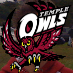 Owlified