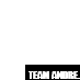 Team Andre