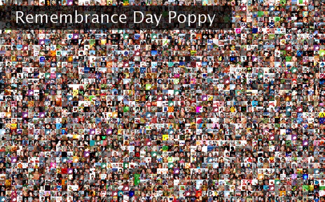 Remembrance Day Poppy Twibute 2500