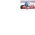 Pro Life