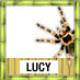 Lucy To Win