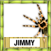 Jimmy To Win