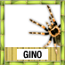 Gino To Win