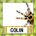 Colin To Win