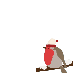 Christmas!