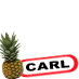 Carl The Pineapple