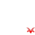 Cock SParrer