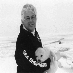 Save the seals