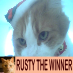indykitty
