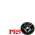 PARANORMAL STATE