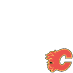 Calgary Flames