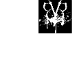 Black Veil Brides
