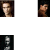 Twilight True Blood Lover