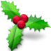 Holly