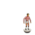 Derry City Supporters Trust