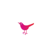 Pink Bird