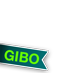 Gibo for 2010