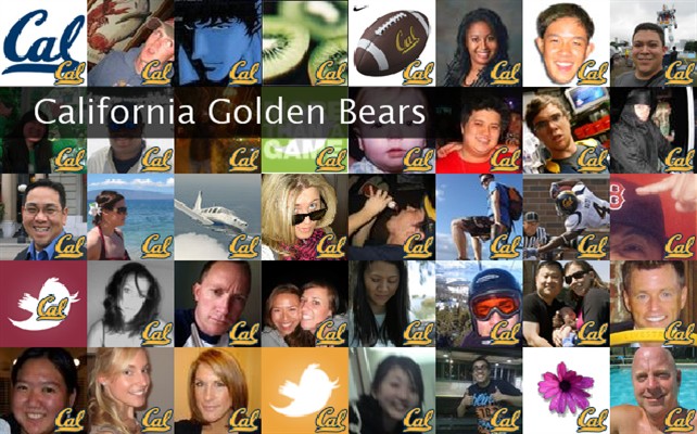 California Golden Bears Twibute 50