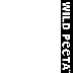 Wild Peeta