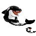 Shamu