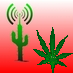 Anahuasca