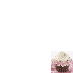 National Cupcake Day