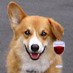 winecountrydog