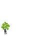 Trees for Cities