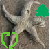 chriscant