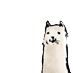 arupakan