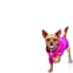Legally Blonde: The Musical