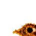 Celebrity Big Brother 7