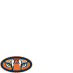 Auburn University Football