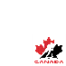 Team Canada Hockey