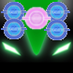 ZEGAZEGA_BD