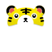 Tiger's hat