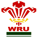 Wales for the 6 Nations 2010