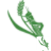 chelseagreen