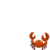 Steamed Crabs