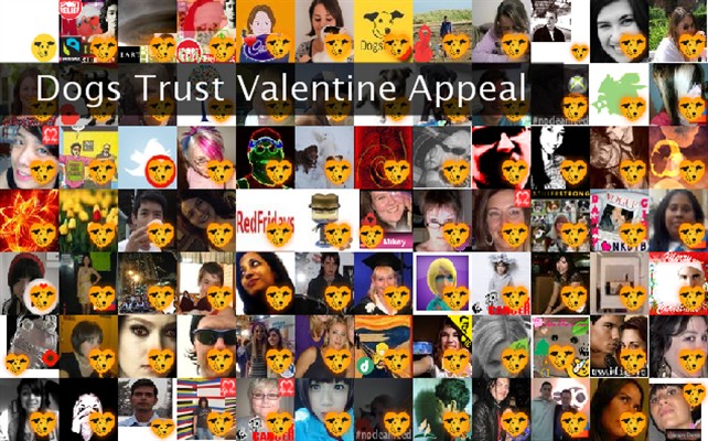 Dogs Trust Valentine Appeal Twibute 100