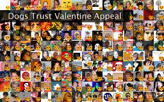 Dogs Trust Valentine Appeal Twibute 250