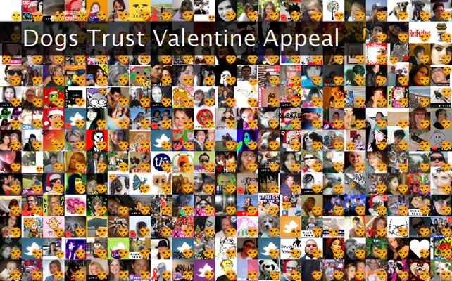 Dogs Trust Valentine Appeal Twibute 500