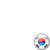 대한민국 (Republic Of Korea)