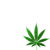 Legalize Cannabis