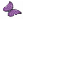 Lupus Awareness